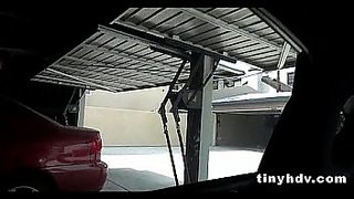 tayrine seifert xvideos