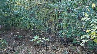 xnxx bbw ebony milf